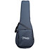 DH90 Hirade Japan Natural Takamine