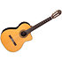 EC132SC Japan Natural Takamine