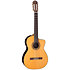EC132SC Japan Natural Takamine