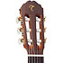 EC132SC Japan Natural Takamine