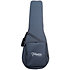 EF341DX Dreadnought CW Black Takamine