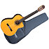 EH5C Hirade Classique Natural Takamine