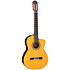EH5C Hirade Classique Natural Takamine