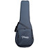 EH5C Hirade Classique Natural Takamine