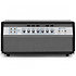 Heritage 50th Anniversary SVT Ampeg