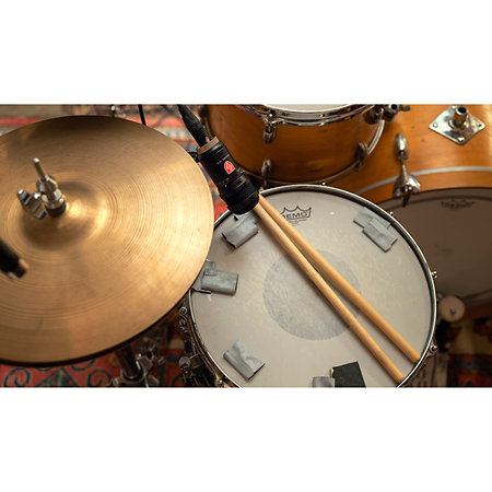Snare Mic Lauten Audio