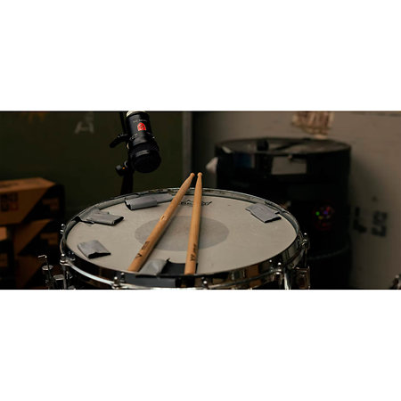 Snare Mic Lauten Audio