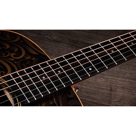GS Mini-e Special Edition Paisley Burst + Housse Taylor