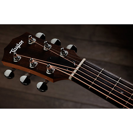 GS Mini-e Special Edition Paisley Burst + Housse Taylor