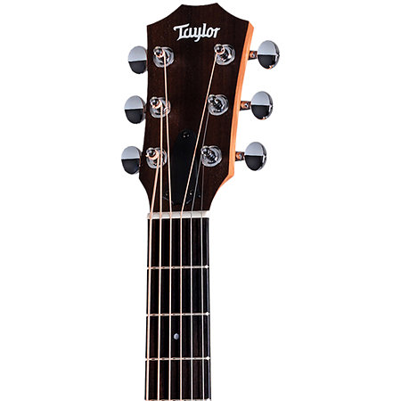 GS Mini-e Special Edition Paisley Burst + Housse Taylor