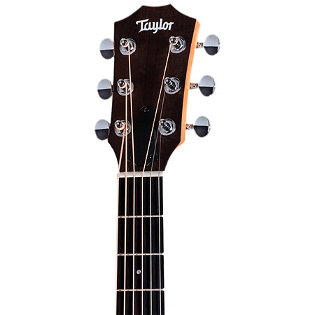 GS Mini-e Special Edition BlueBurst + Housse Taylor