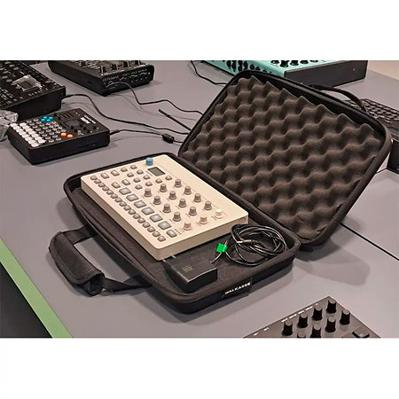 Walkasse Eva Case Model