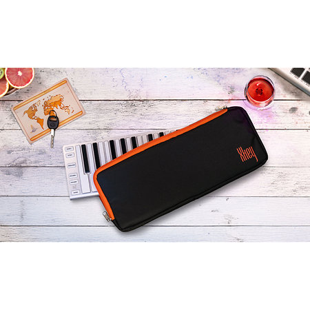 Xkey Air 25 ESI Audiotechnik