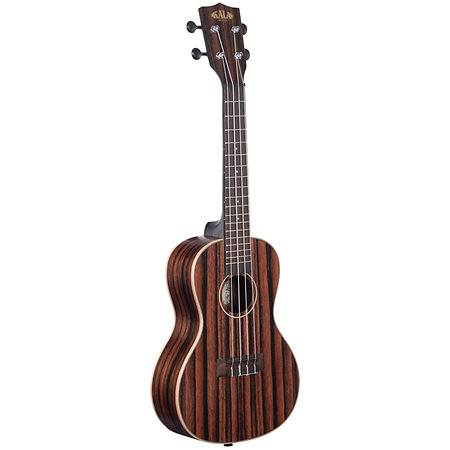 Striped Ebony Concert + Housse Kala