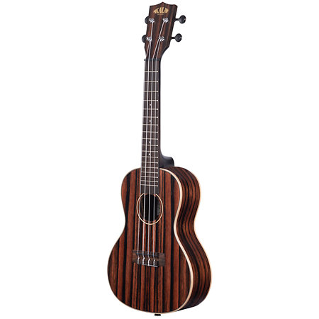 Striped Ebony Concert + Housse Kala