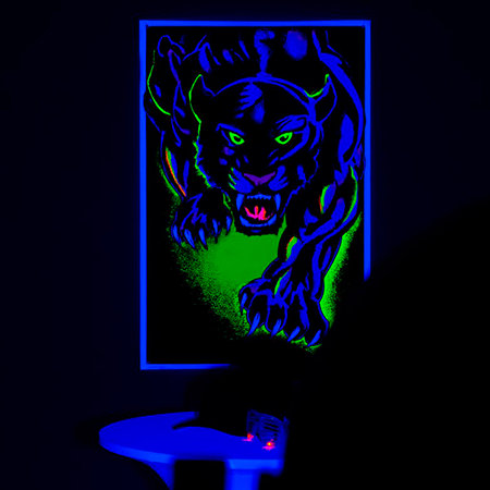 UV PAR 100IP ADJ