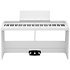 B2+ SP White Korg