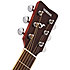 FG820 Autumn Burst Yamaha