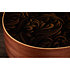 GS Mini-e Special Edition Paisley Burst + Housse Taylor