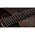 GS Mini-e Special Edition Paisley Burst + Housse Taylor