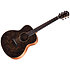 GS Mini-e Special Edition Paisley Burst + Housse Taylor