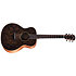 GS Mini-e Special Edition Paisley Burst + Housse Taylor