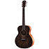 GS Mini-e Special Edition Paisley Burst + Housse Taylor