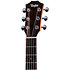 GS Mini-e Special Edition Paisley Burst + Housse Taylor