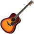 LL16 Brown Sunburst Yamaha