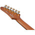 AZ26P1-BK Black + Housse Ibanez
