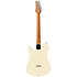 FLATV2-MSN Josh Smith Mint Sand + Etui Ibanez