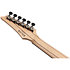 RGA21P1PB-DRL Deep Twilight Burst Low Gloss+ Housse Ibanez