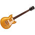 SG1802 Gold Top Yamaha