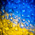 H2O Two ADJ