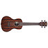 Striped Ebony Concert + Housse Kala