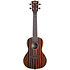 Striped Ebony Concert + Housse Kala