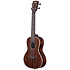 Striped Ebony Concert + Housse Kala