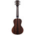 Striped Ebony Concert + Housse Kala