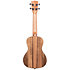 Pacific Walnut Concert + Housse Kala