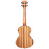 Pacific Walnut Tenor + Housse Kala