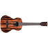 Premier Exotic Ebony Tenor Kala