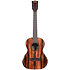 Premier Exotic Ebony Tenor Kala