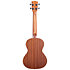 Satin Mahogany Tenor + Housse Kala