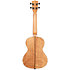Exotic Mahogany Tenor + Housse Kala