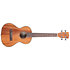 Gloss Mahogany Tenor + Housse Kala