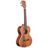 Gloss Mahogany Tenor + Housse Kala