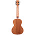 Gloss Mahogany Tenor + Housse Kala