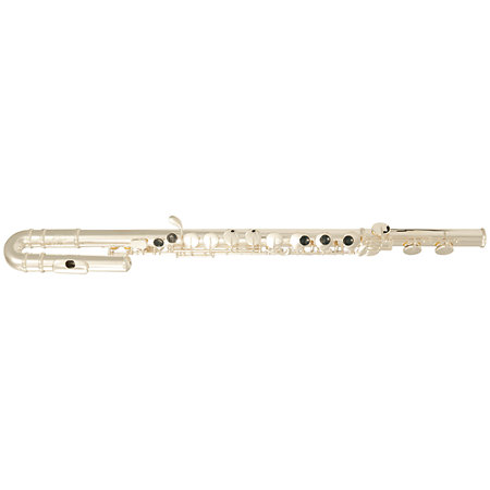 SML Paris AFL200 Alto + Etui