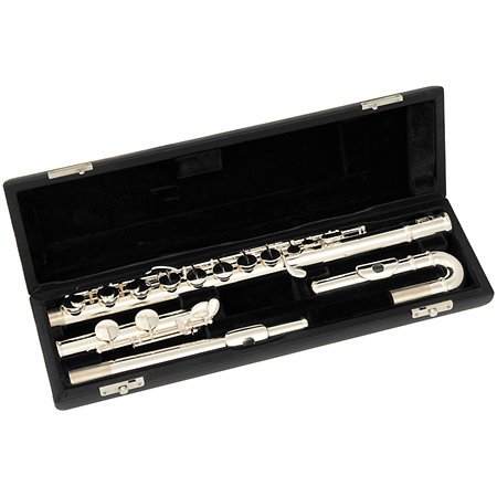 SML Paris AFL200 Alto + Etui