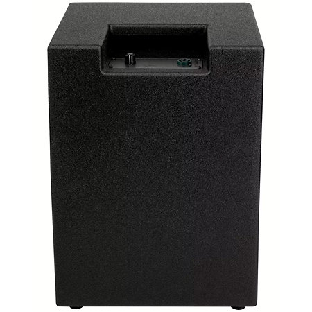 Baffle Pro CAB 12/4 Warwick